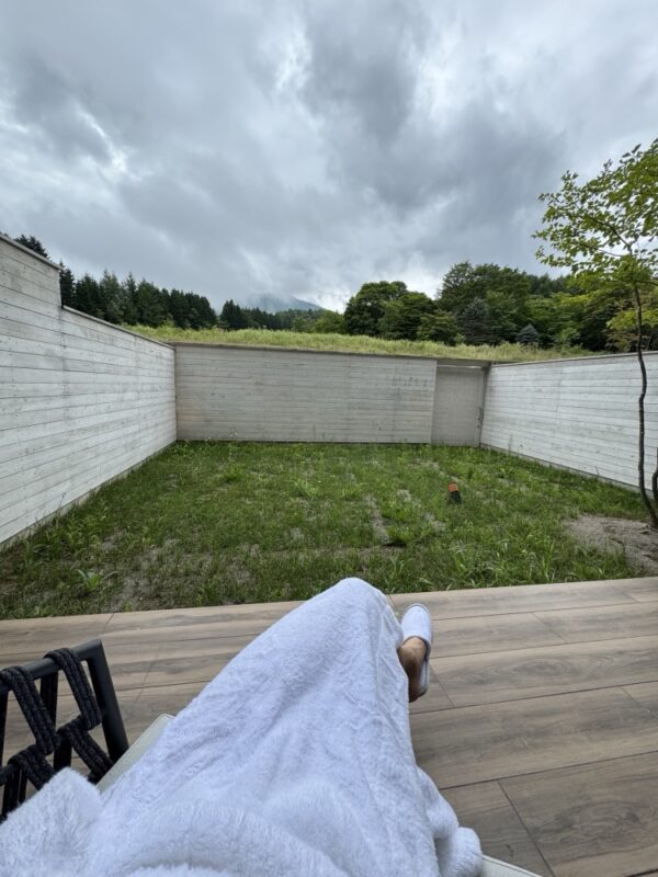 壁に囲まれた芝生。ここが部屋の外です