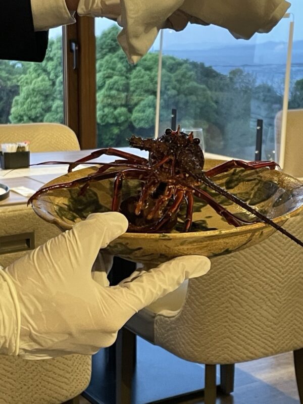 活きた伊勢海老。丸ごと一匹