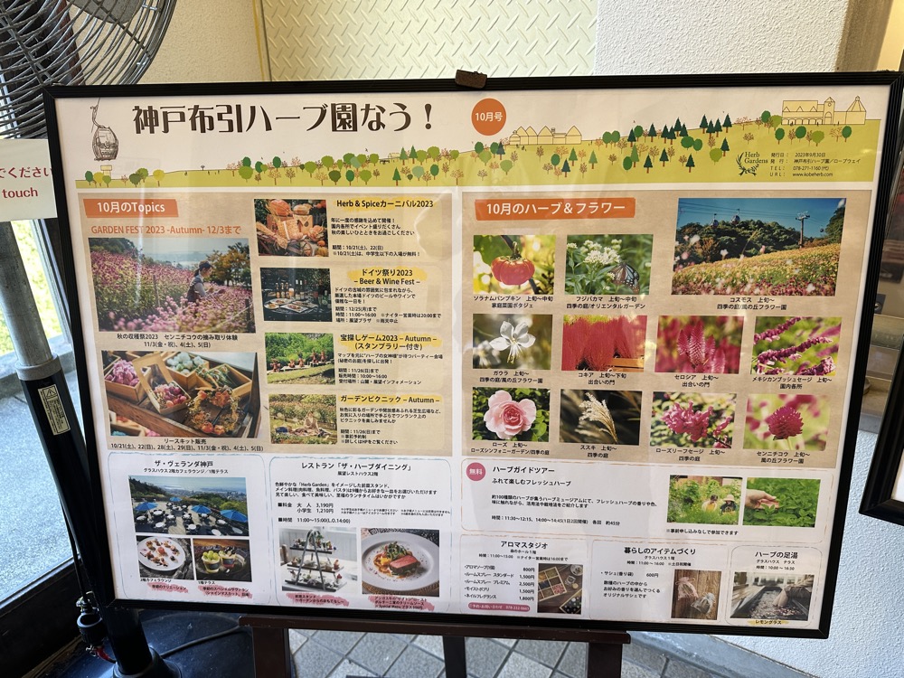 その月に見ごろの花が案内されています