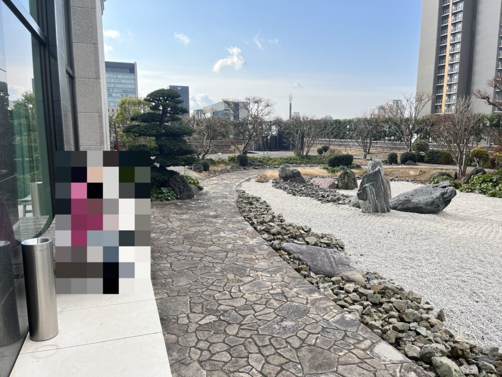 1階から見える庭。眺めるぶんにはきれいです