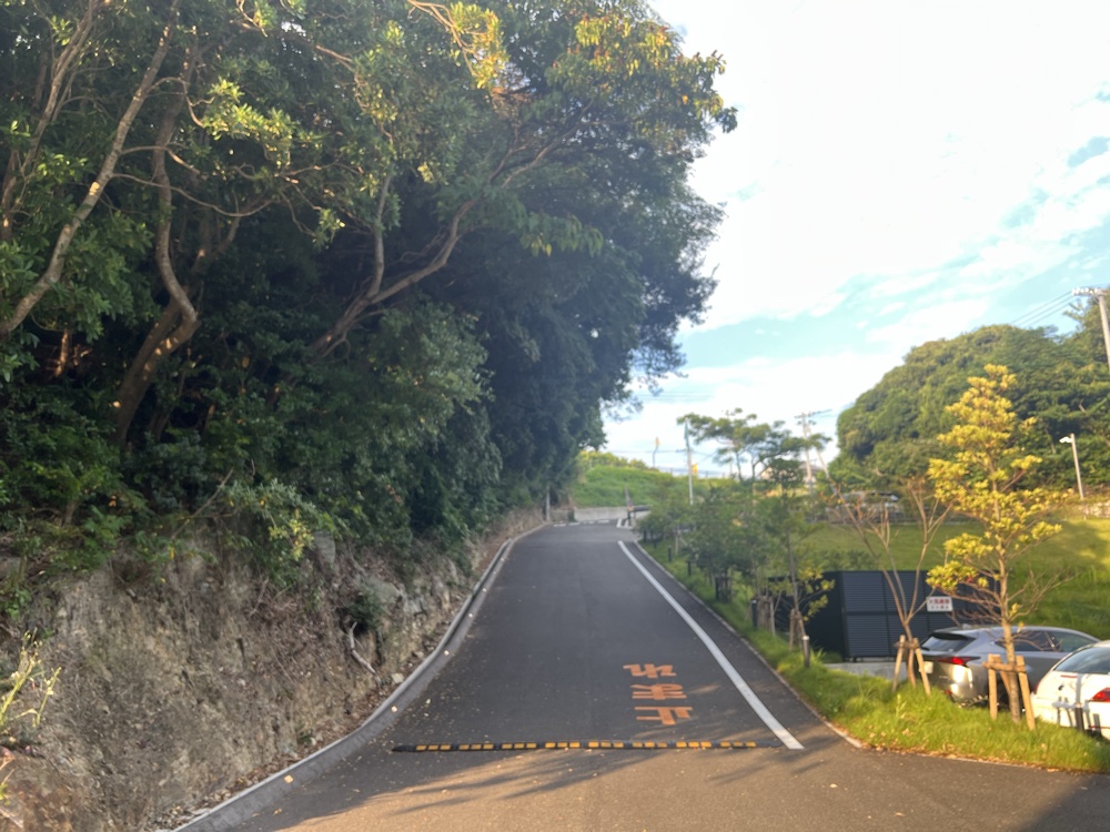 ホテルへ向かう道。ずっとこんな景色です