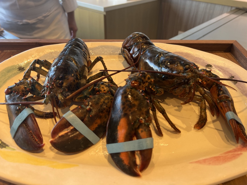 オマール海老は生きたまま見せてくれます