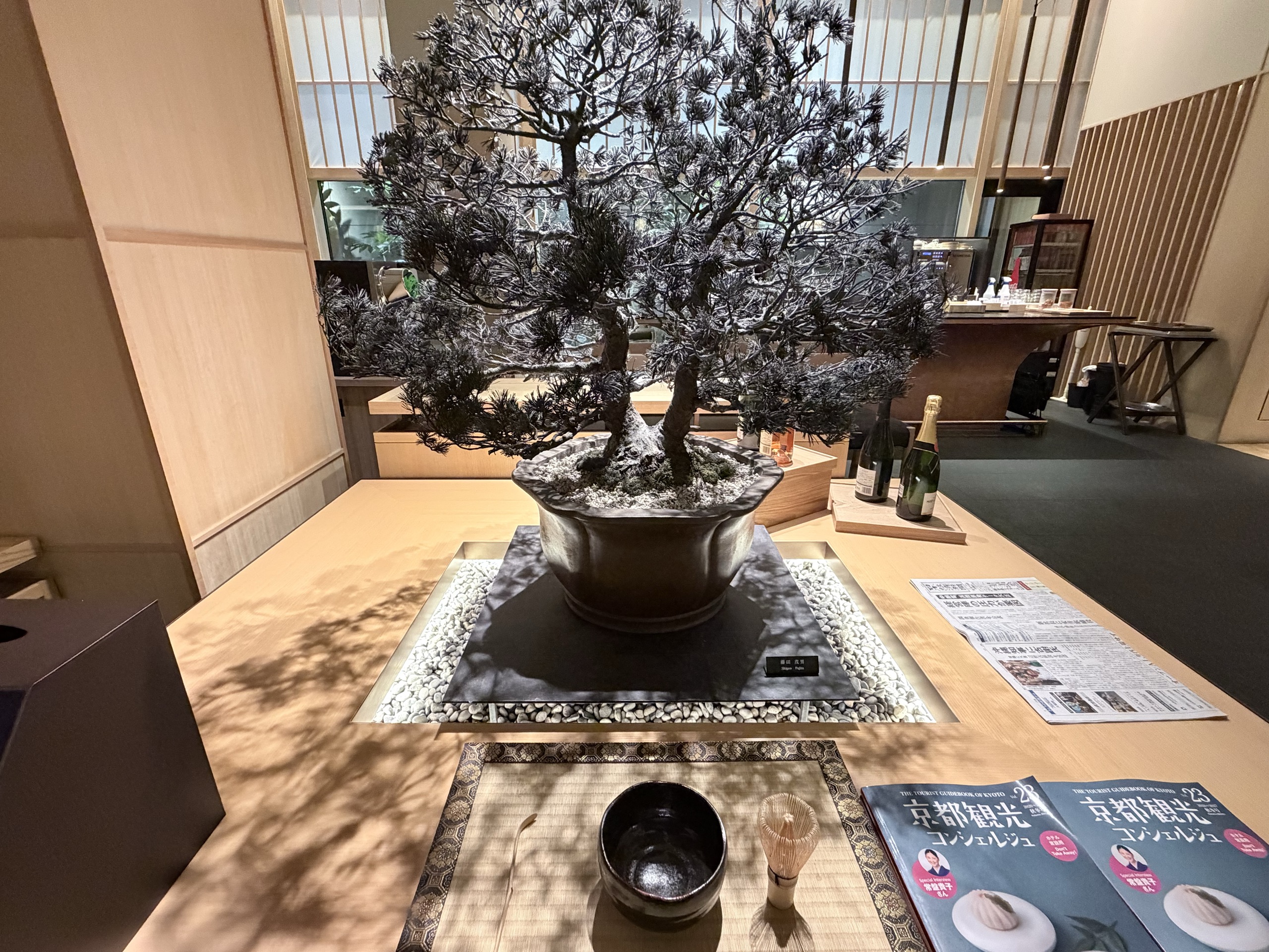 ロビーの飾り台に置かれた松の盆栽と、京都の観光案内の冊子