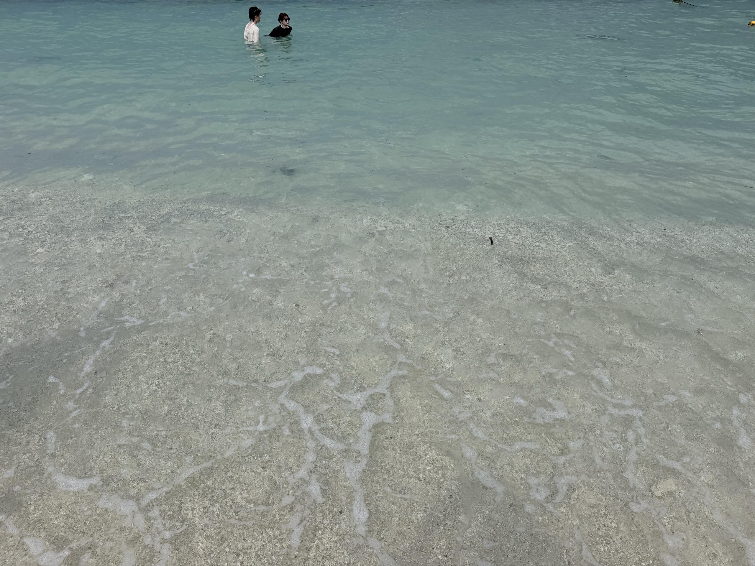 澄んだ浅瀬